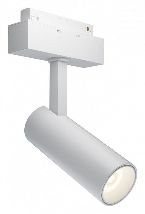 Светильник на штанге Maytoni Technical Фокус TR019-2-10W3K-W