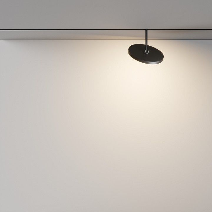 Светильник на штанге Maytoni Technical Plato TR131-2-15W3K-B