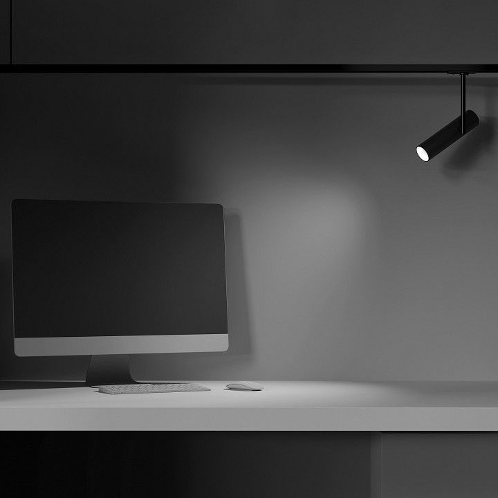 Светильник на штанге Maytoni Technical Элти TR005-1-GU10-B