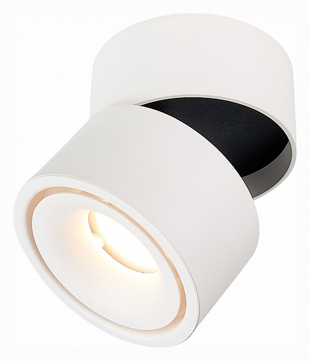 Светильник на штанге ST-Luce ST652 ST652.542.12