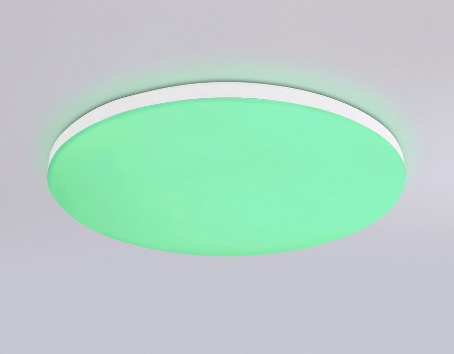 Накладной светильник Ambrella Light FZ FZ2001