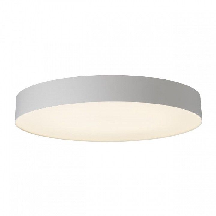 Накладной светильник Citilux BART CL755490