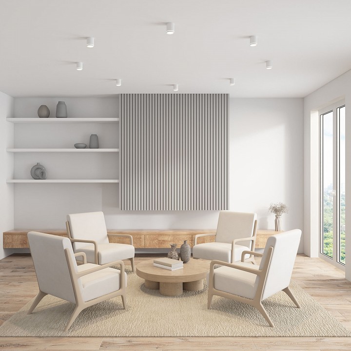 Накладной светильник Denkirs DK401 DK4016-WH