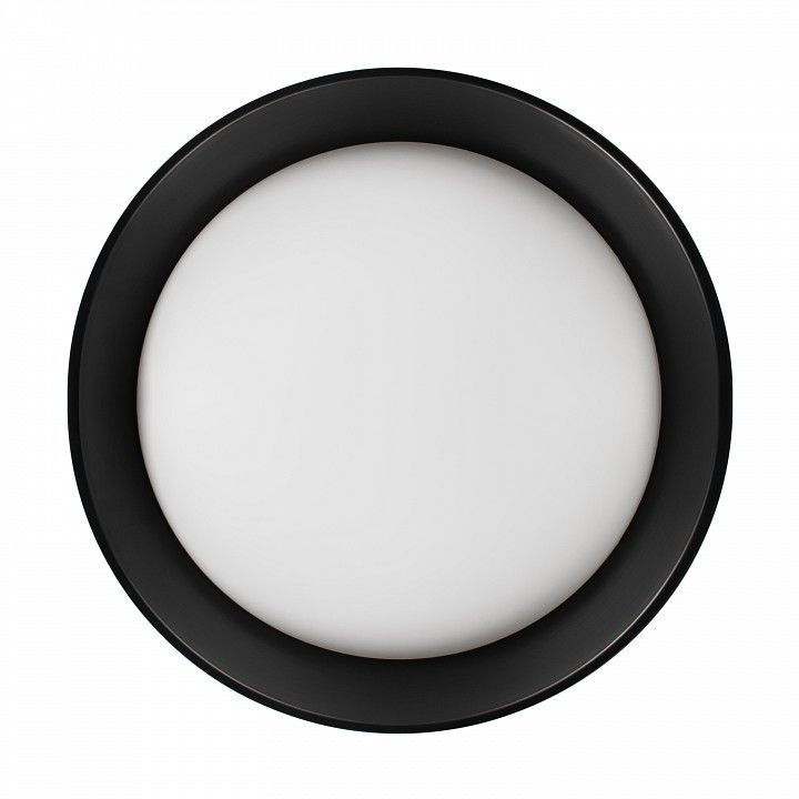 Накладной светильник Loft it Coin 10202 BB