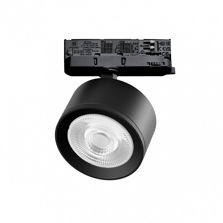 Светильник на штанге Lightstar Alta Pro A5547QT60G