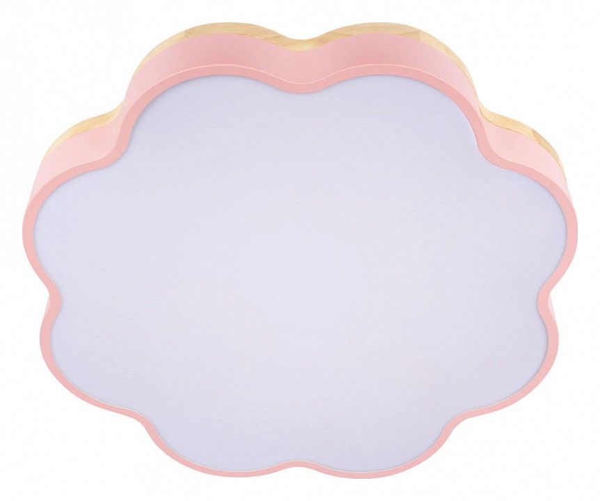 Накладной светильник Loft it Axel 10225/36 Pink
