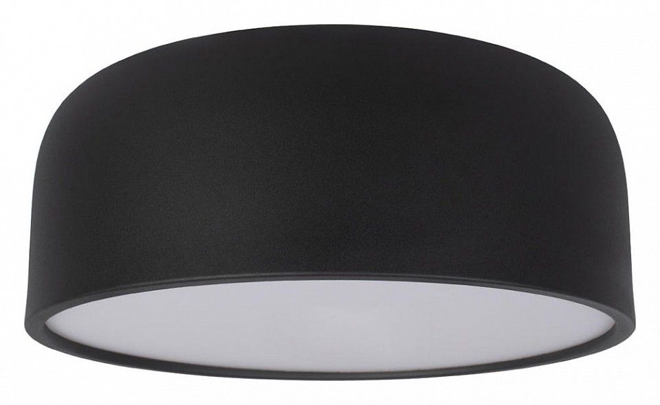 Накладной светильник Loft it Axel 10201/350 Black