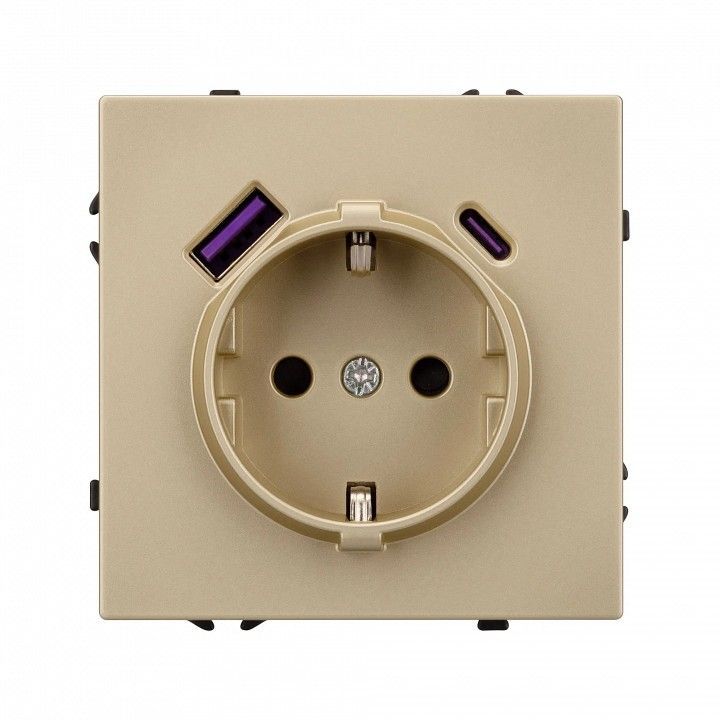Розетка с заземлением и 2хUSB type A, без рамки Arlight SCT 054286