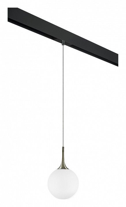 Подвесной светильник Lightstar Globo PRO813021
