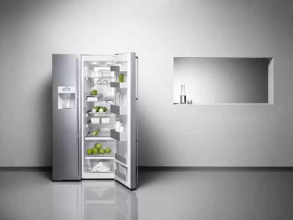 Холодильник Gaggenau RS 295-311
