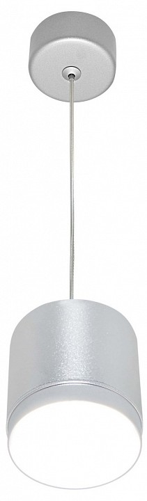 Подвесной светильник Maytoni Technical Polar P088PL-GX53-S