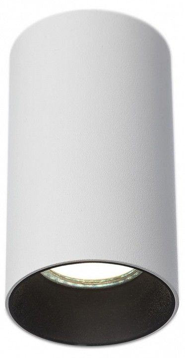 Накладной светильник Citilux AXEL CL512110