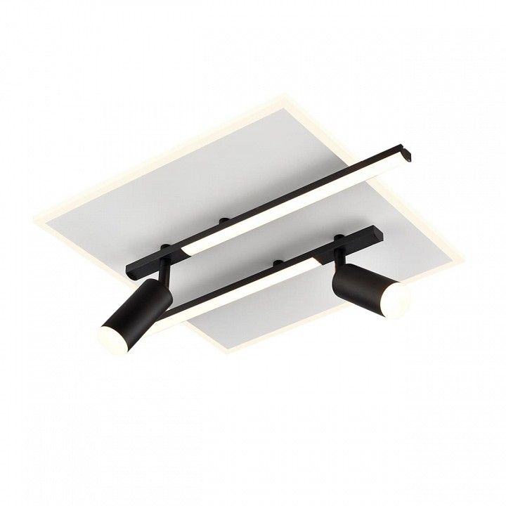 Накладной светильник Lumion STELLS 8256/40CL