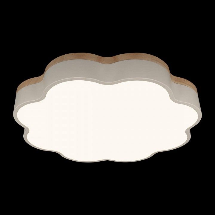 Накладной светильник Loft it Axel 10225/36 White