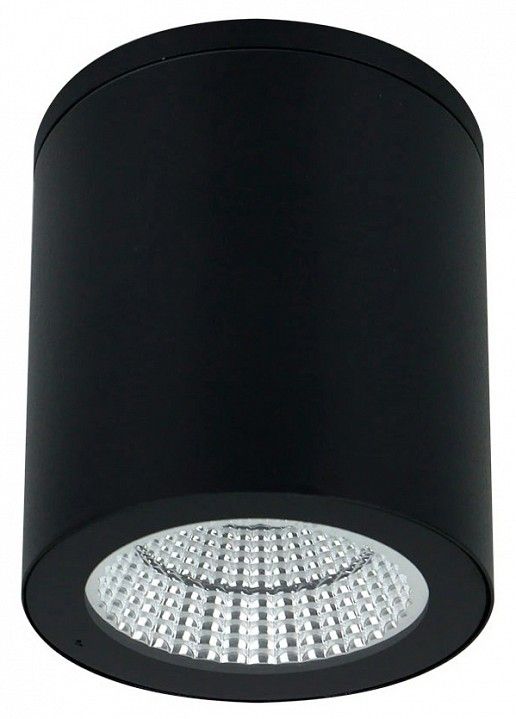 Накладной светильник Arte Lamp TORCULAR A1313PF-1BK