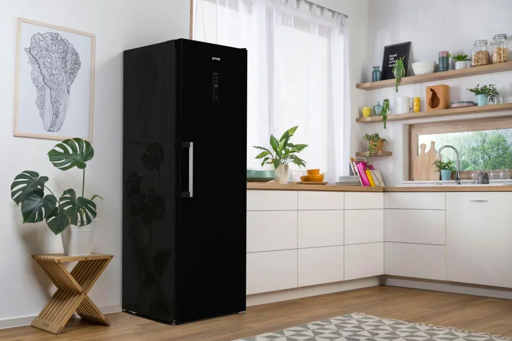 Холодильник Gorenje R619EABK6