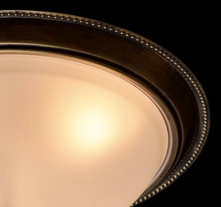 Накладной светильник MW-Light Ариадна 450015503