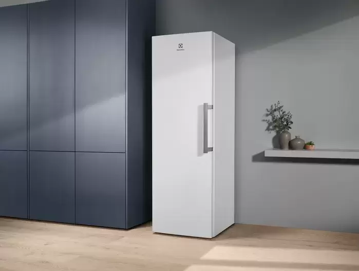 Морозильная камера Electrolux RUT5NF28W1