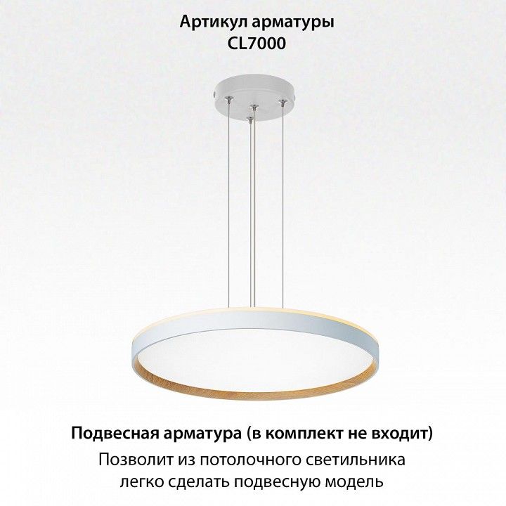Накладной светильник Citilux ETALON CL750500R