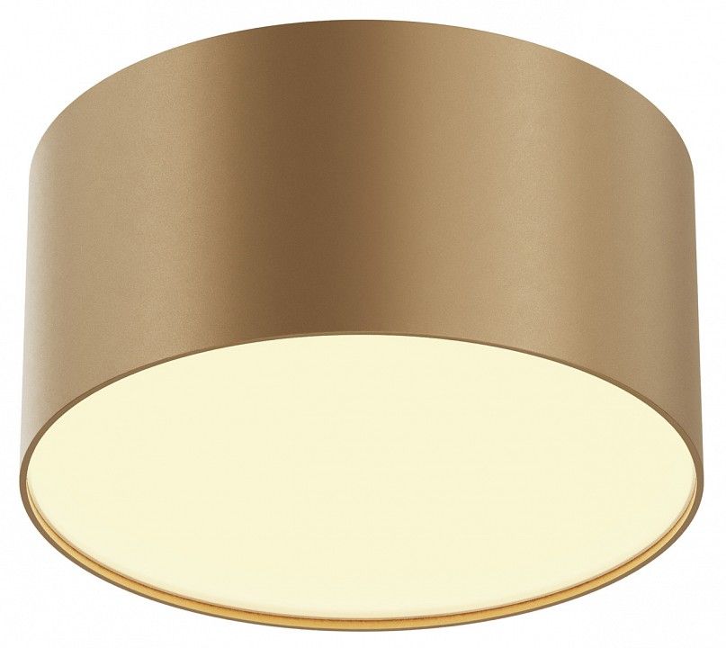 Накладной светильник Maytoni Technical Зон C032CL-12W2.7K-RD-MG