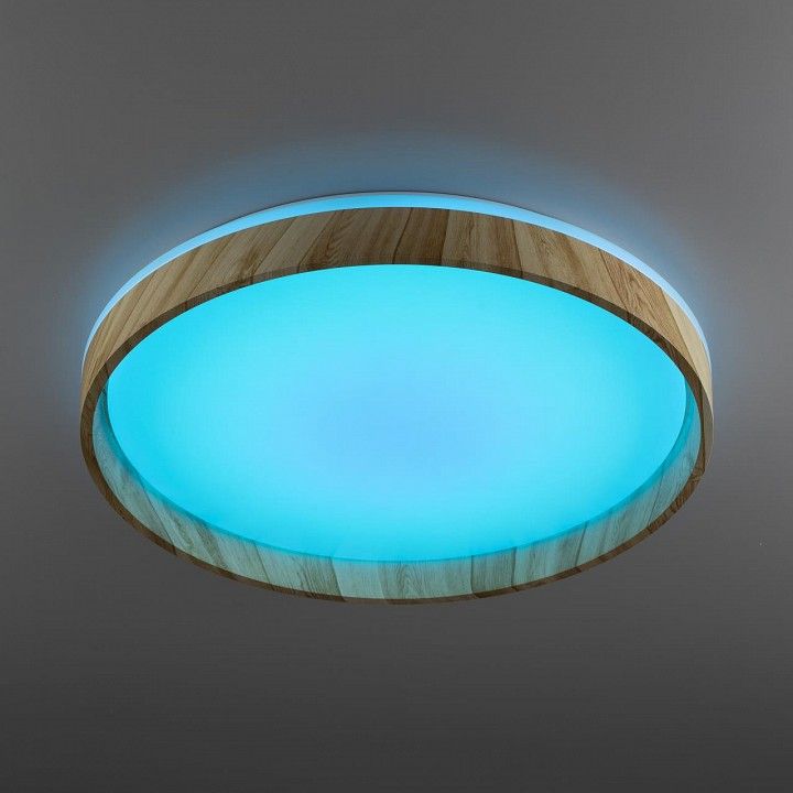 Накладной светильник Citilux ENZO CL753452G