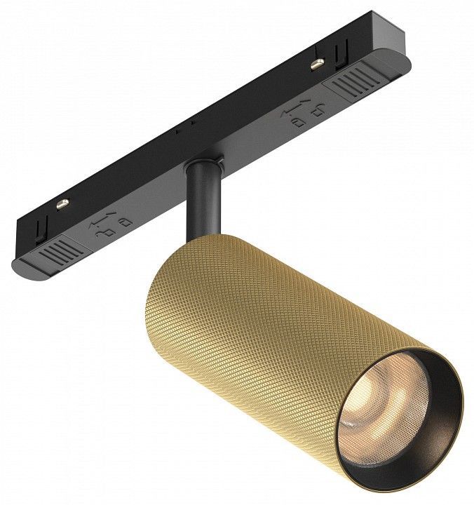 Светильник на штанге Maytoni Technical Мастер TR097-2-12W3K-M-BMG