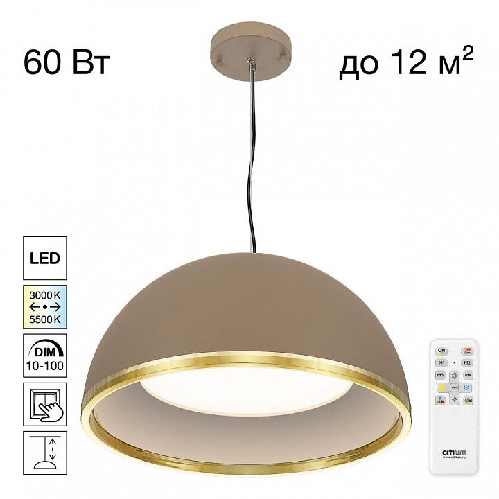Подвесной светильник Citilux FLOOM CL736252