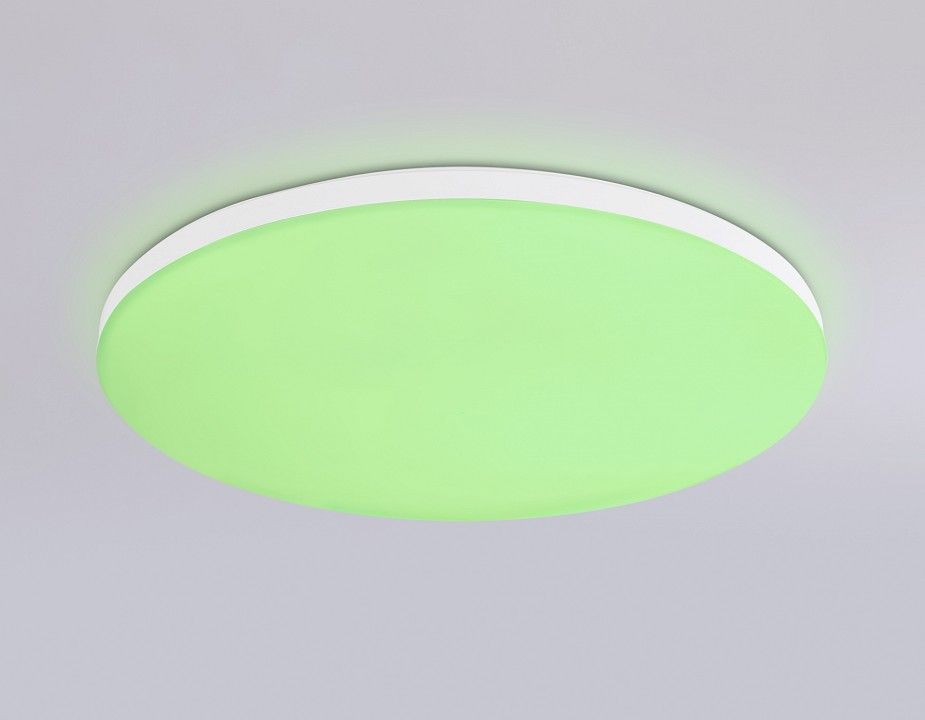 Накладной светильник Ambrella Light FZ FZ2001