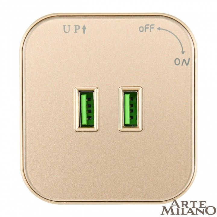 Розетка 2xUSB на треке Arte Milano Am-track-sockets 380022TS/USBx2 Gold