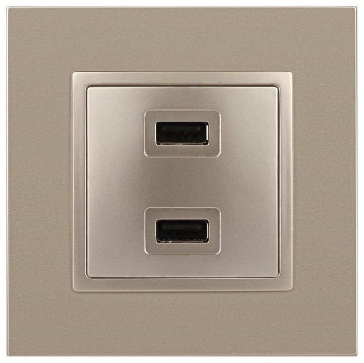 Розетка 2хUSB type A без рамки Эра Эра Elegance 14-4110-04