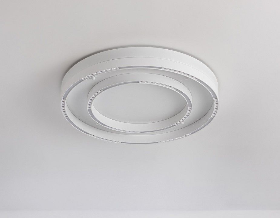 Накладной светильник Ambrella Light FL FL5821