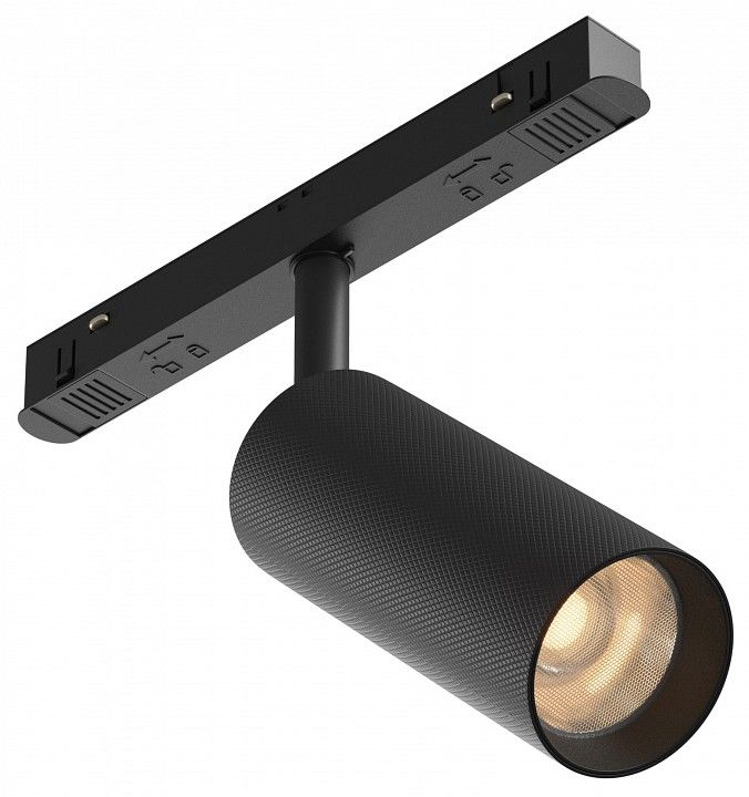Светильник на штанге Maytoni Technical Мастер TR097-2-12W3K-M-BB
