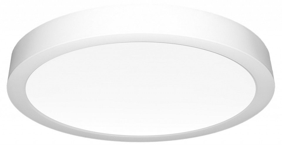 Накладной светильник Citilux Галс CL5522N