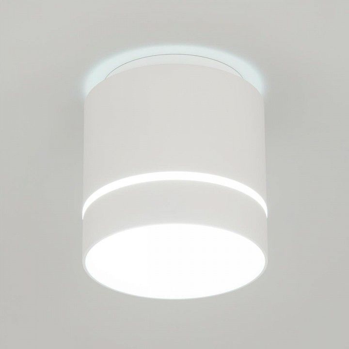 Накладной светильник Citilux Борн CL745020N