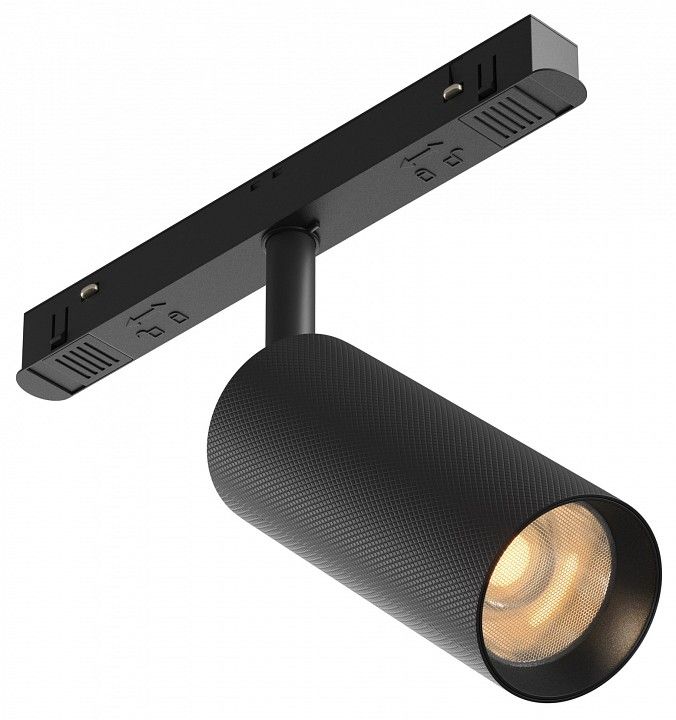 Светильник на штанге Maytoni Technical Мастер TR097-2-12W2.7K-M-BB