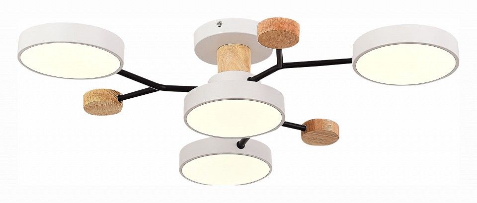 Потолочная люстра EVOLUCE Faema SLE6006-502-04