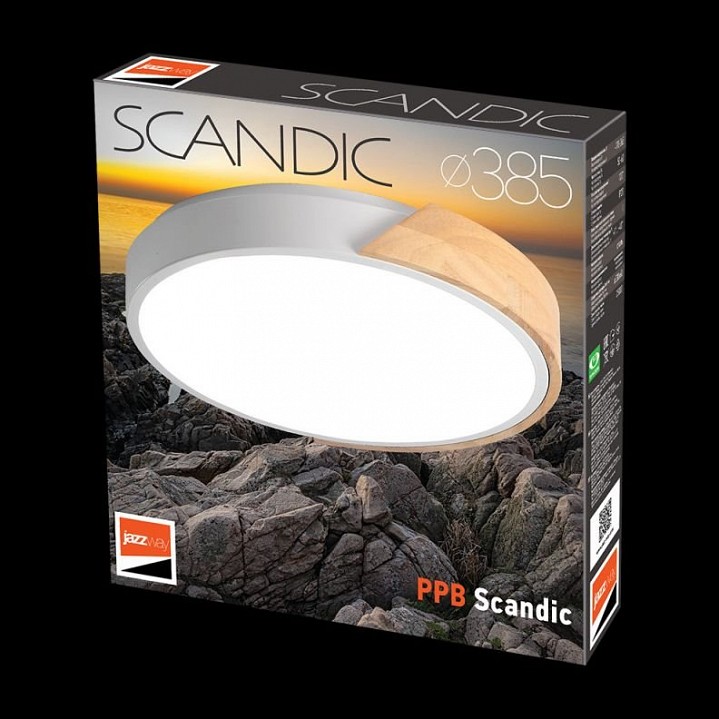 Накладной светильник Jazzway Sсandic 5036956