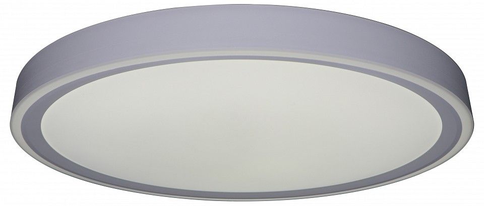 Накладной светильник Zortes Bella ZRS.1200.09