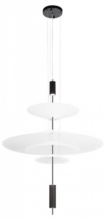 Подвесной светильник Loft it Skylar 10244/C Black