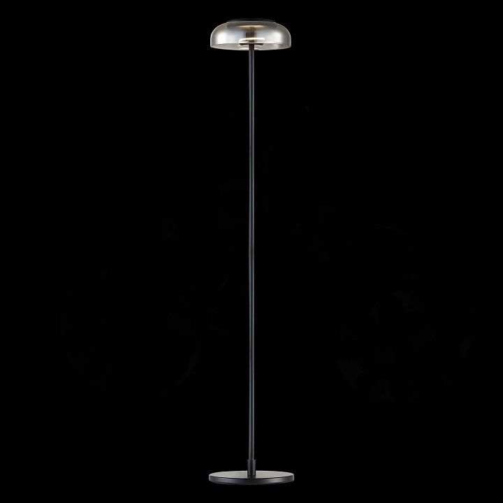Торшер ST-Luce Lacio SL6002.405.01