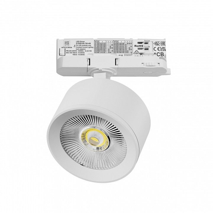 Светильник на штанге Lightstar Alta Pro A5546QT