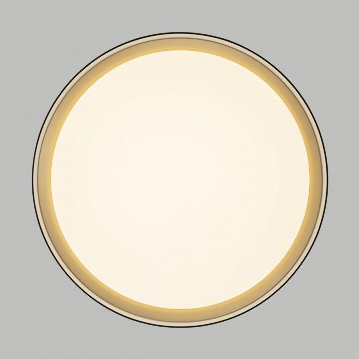 Накладной светильник Citilux BOSS CL751351G