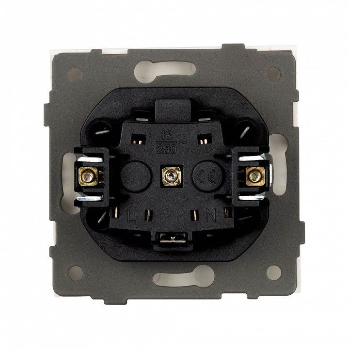 Розетка с заземлением, без рамки Arlight SCT-TENDO 054639