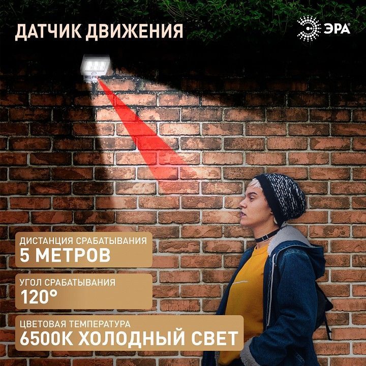 Настенный прожектор Эра  ERAFS048-08