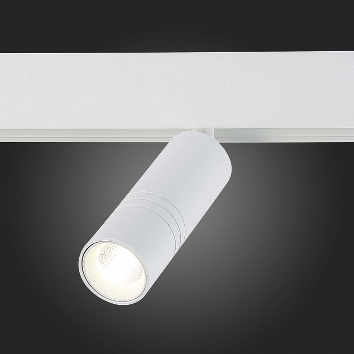 Светильник на штанге ST-Luce Lemmi ST365.546.12