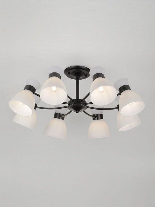 Люстра на штанге Rivoli Aemilia 9185-308