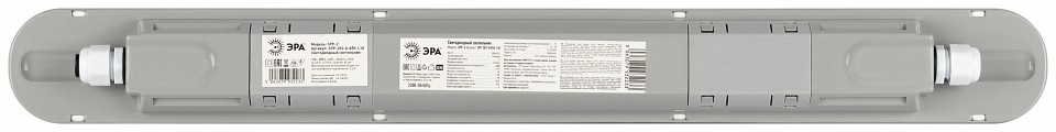 Накладной светильник Эра  SPP-202-0-40K-L18