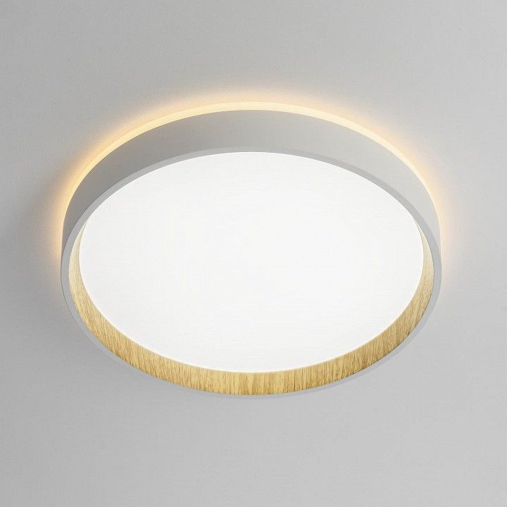 Накладной светильник Citilux Etalon CL750240