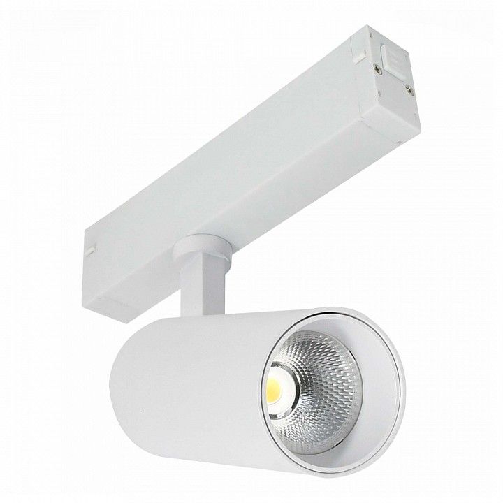 Светильник на штанге ST-Luce SKYLINE 220 ST660.536.10H