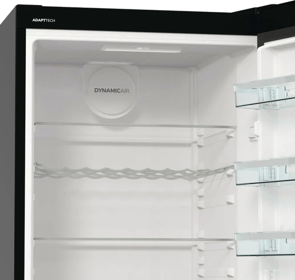 Холодильник Gorenje R619EABK6